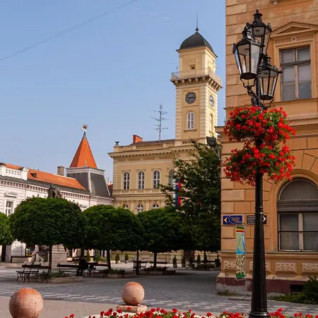 Apartman Maja Premium Loft In Historical Center *