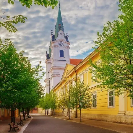 Maja Premium Loft In Historical Center Apartman