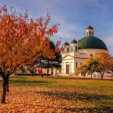 Apartman Maja Premium Loft In Historical Center Révkomárom